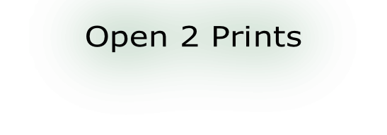 Open 2 Prints