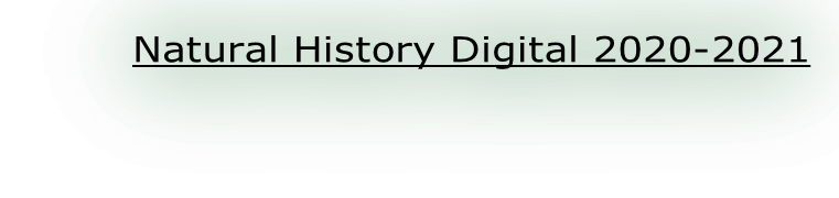 Natural History Digital 2020-2021