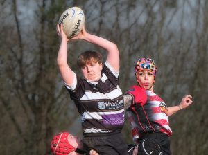 Steve Powell Throw In
