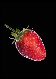 17. Commended Rim Light