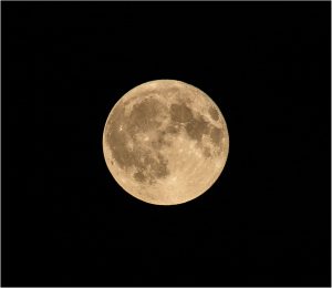 Mike Lyne Bucks Moon 29 July 2026