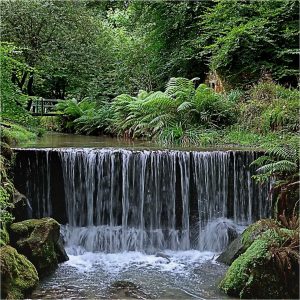 Paul Edwards The Weir