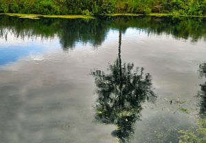 Dominic Crabtree River Reflection