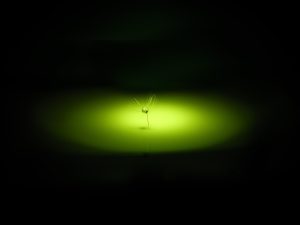 Kevin Dyer Water Drop