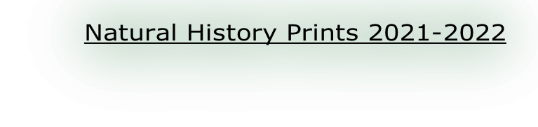 Natural History Prints 2021-2022