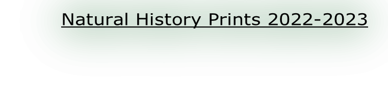 Natural History Prints 2022-2023
