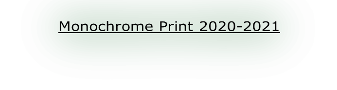 Monochrome Print 2020-2021