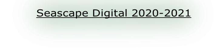 Seascape Digital 2020-2021