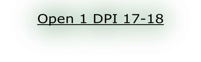 Open 1 DPI 17-18