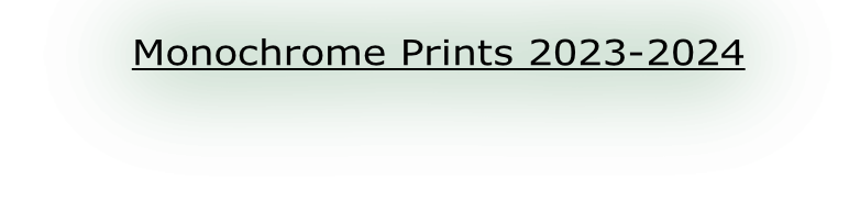 Monochrome Prints 2023-2024