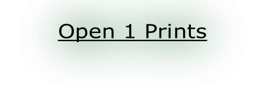 Open 1 Prints