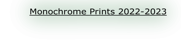 Monochrome Prints 2022-2023