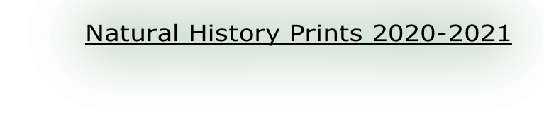 Natural History Prints 2020-2021
